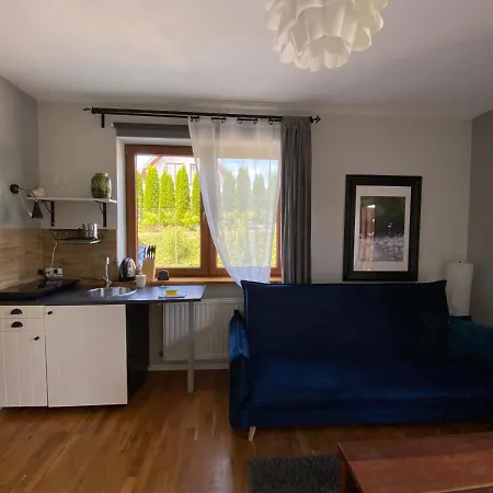 Ferienwohnung Dom Z Widokiem Krynica-Zdrój Exterior foto
